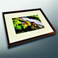 Framed commercial artwork
